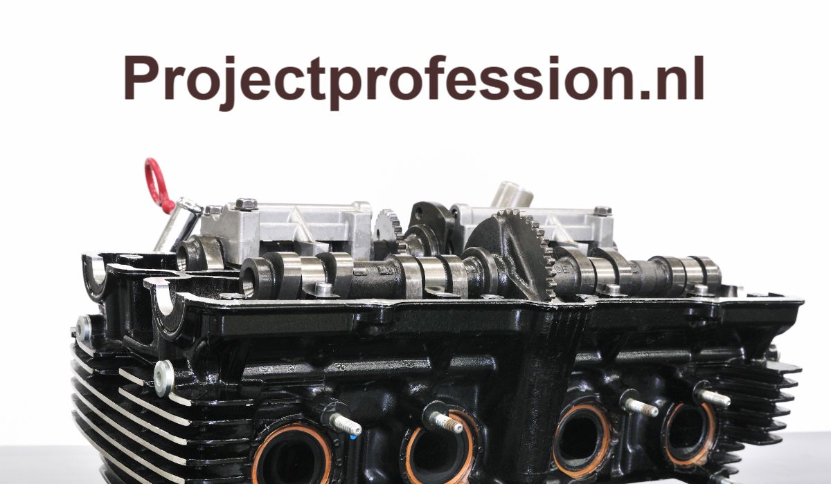 projectprofession.nl